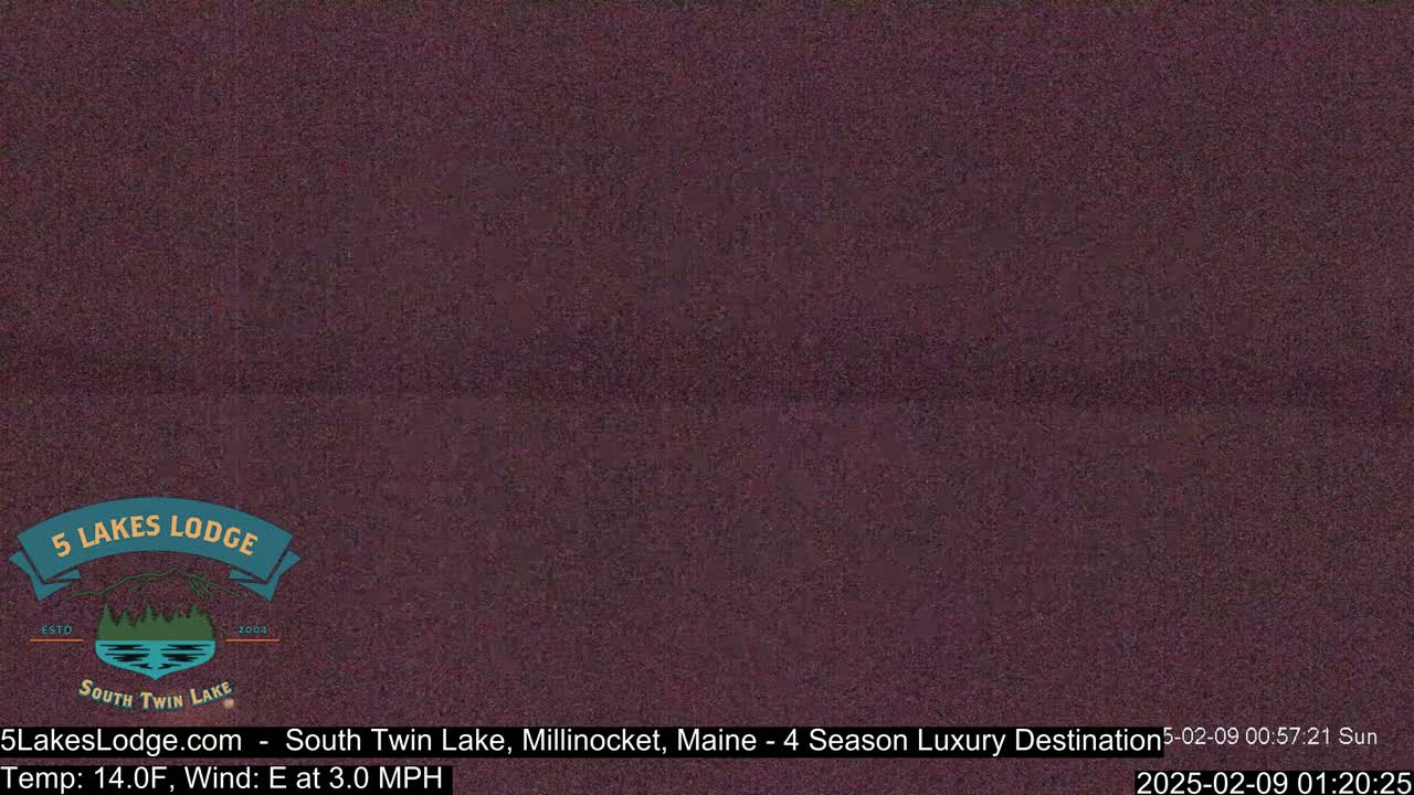 A dark, blurry image shows a mostly uniform, dark purplish-brown color.