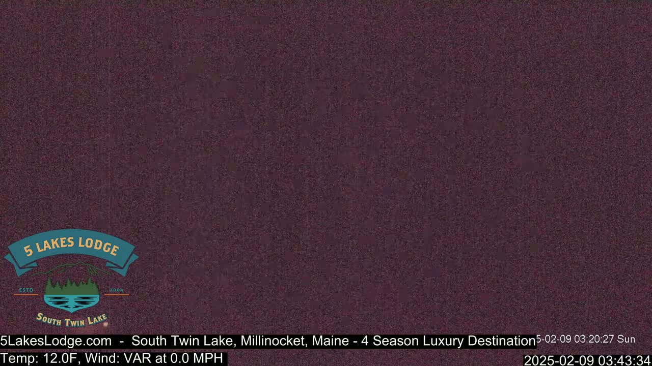 A dark purplish-brown image shows a grainy, static-filled screen.