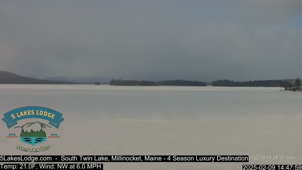 A frozen lake stretches to a distant, hazy treeline under a pale, overcast sky.