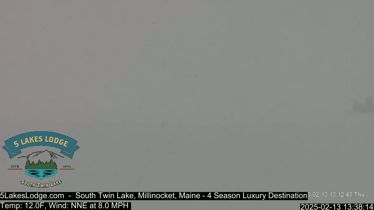 A gray, overcast sky is visible in an outdoor scene with a light wind.