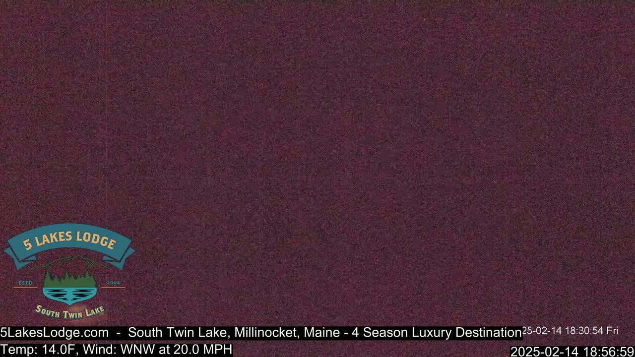 A dark purplish-brown, grainy image shows a mostly uniform background.