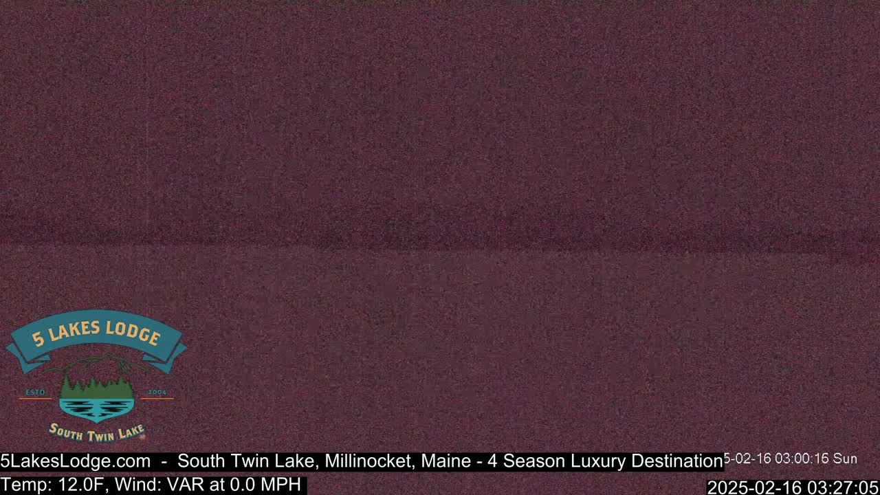 A dark purplish-brown image shows a still, grainy video feed of an outdoor scene at night or in low light conditions.