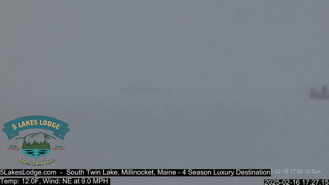 A blurry, snow-covered landscape is visible under a hazy sky.