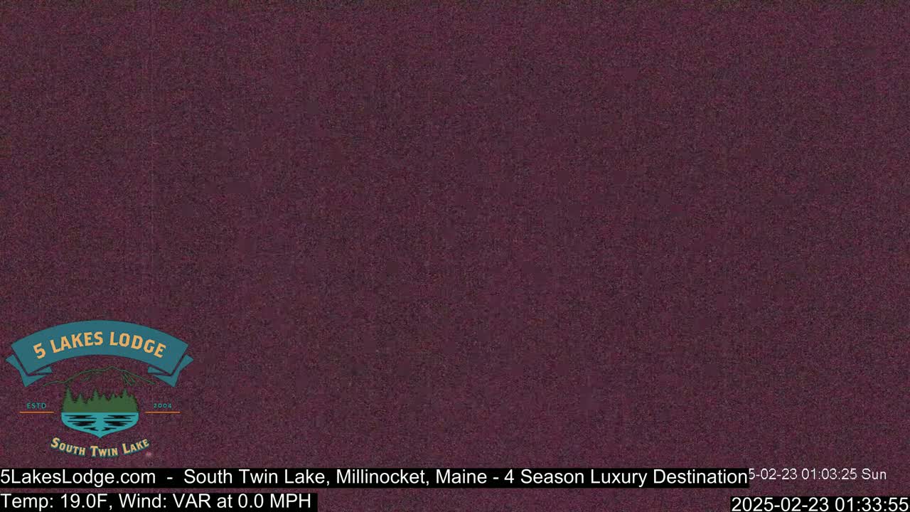 A dark purple image shows a grainy, low-light view of an outdoor scene at 19°F with a variable wind of 0.0 mph.