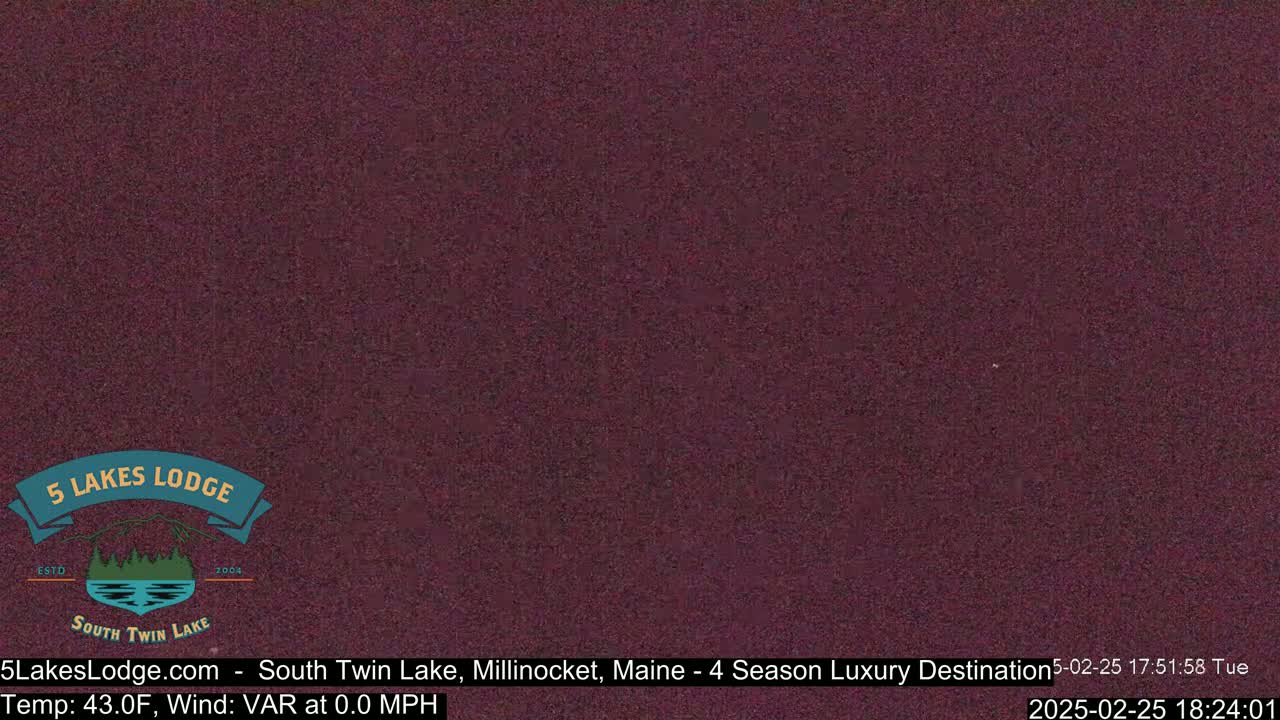 A dark purplish-brown image shows a mostly uniform texture with slight variations in shade.