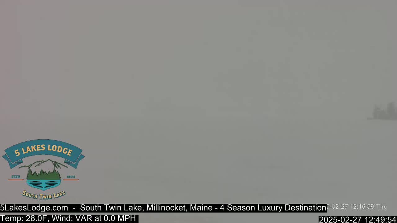 A heavily overcast, snowy scene with very low visibility.