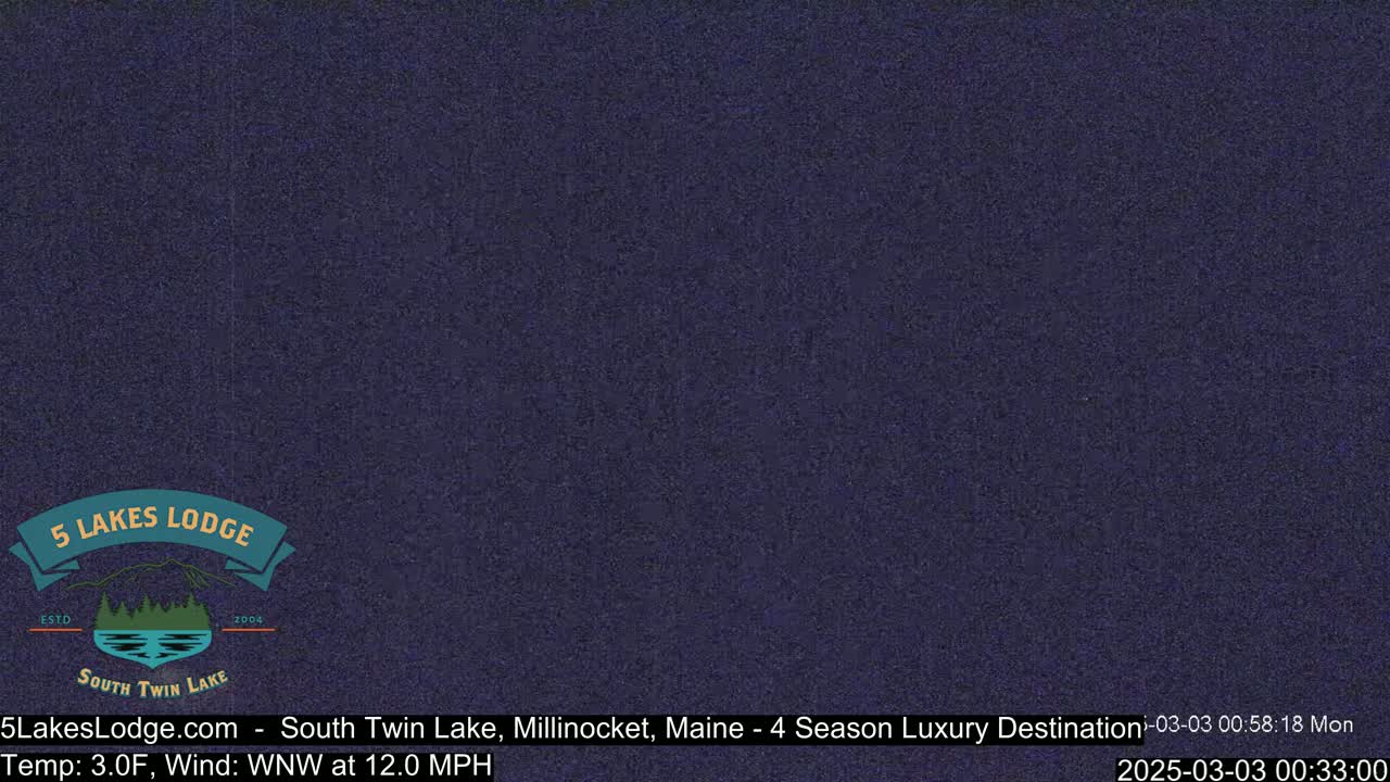 A dark blue, grainy image displays a still, nighttime scene.