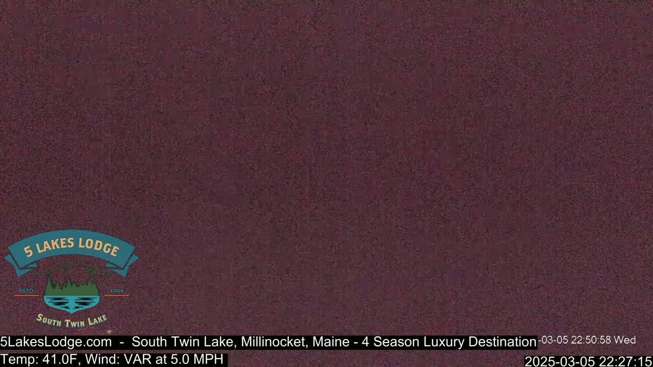 A dark, blurry image of an outdoor scene at night shows a uniformly dark purplish-brown color.