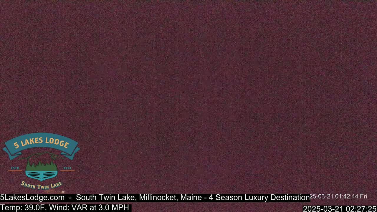 A dark purplish-brown, grainy image shows a nighttime or low-light outdoor scene.