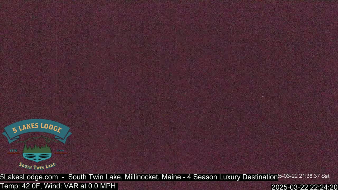A dark purplish-brown, static-filled image is shown.