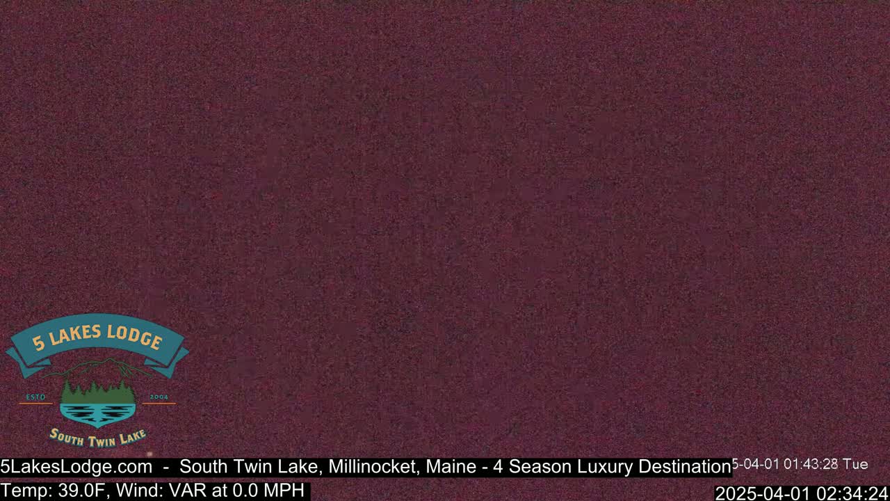 A dark reddish-brown, static-filled image.