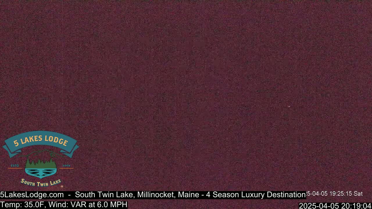 A dark reddish-brown, grainy image is shown.