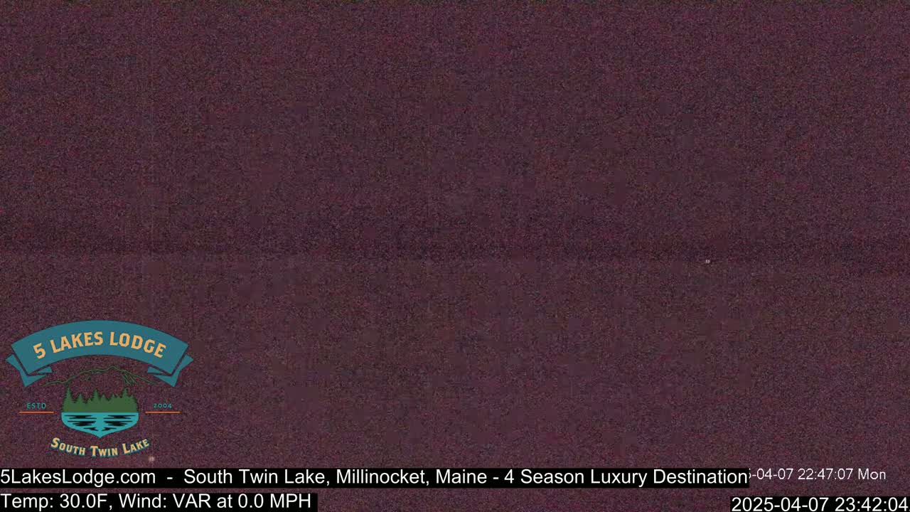A dark purple, grainy image shows a nighttime view of a lake.