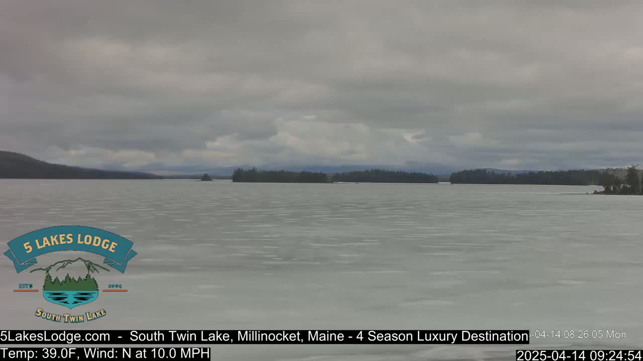 A mostly frozen lake is visible under a gray, overcast sky, with a distant treeline.
