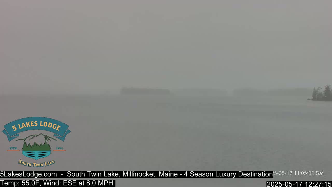 A hazy, gray lake is visible, with a small, indistinct island in the distance, under a foggy sky.