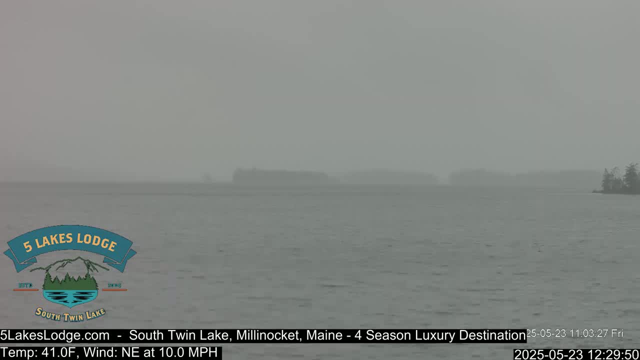 A hazy, gray lake is seen in the distance, with a small treeline visible on the right side, under overcast conditions.