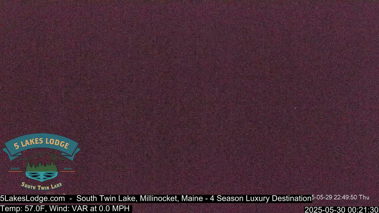 A solid, dark purplish-brown image is shown.