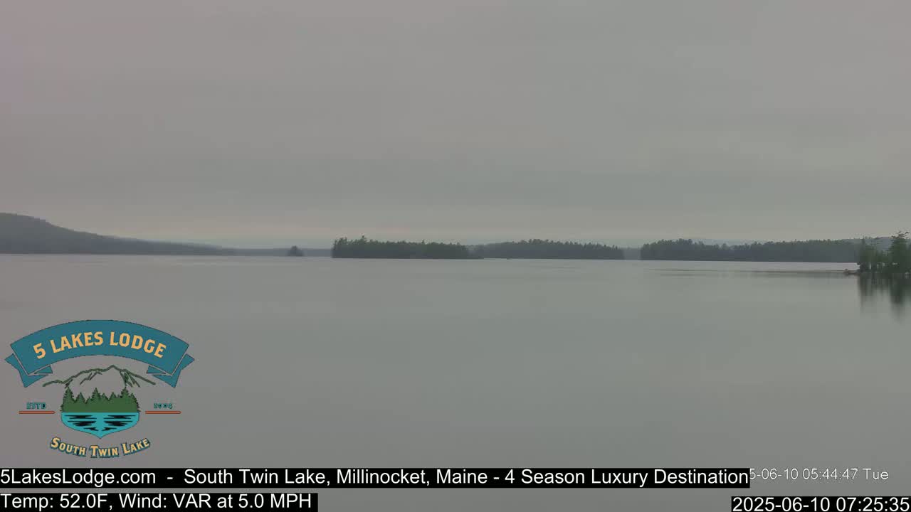 A calm, gray day is shown over a lake with a treeline visible in the distance.