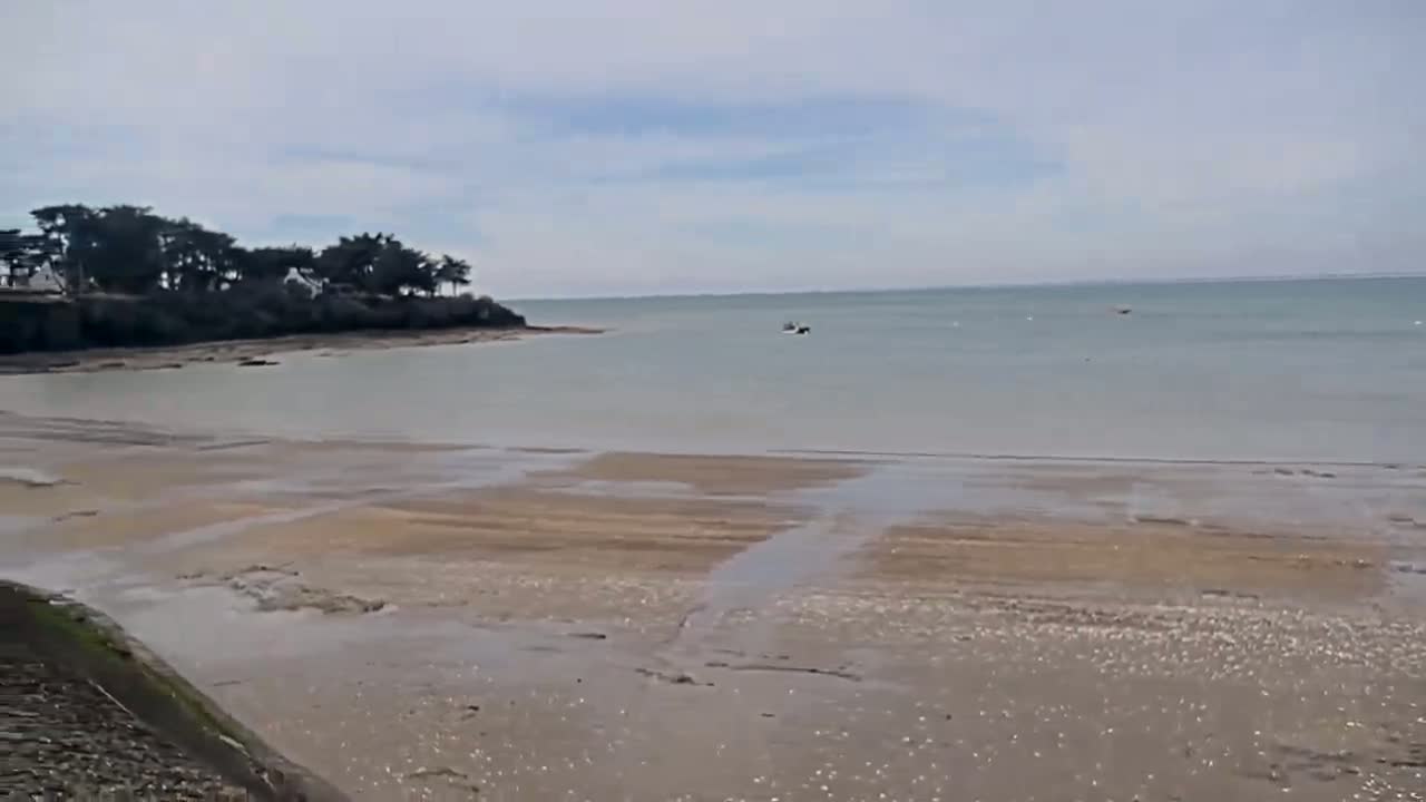 A calm, light-grey sea stretches out to the horizon under a mostly cloudy sky, with a sandy shore receding to reveal shallow water and a small group of trees on a distant headland.