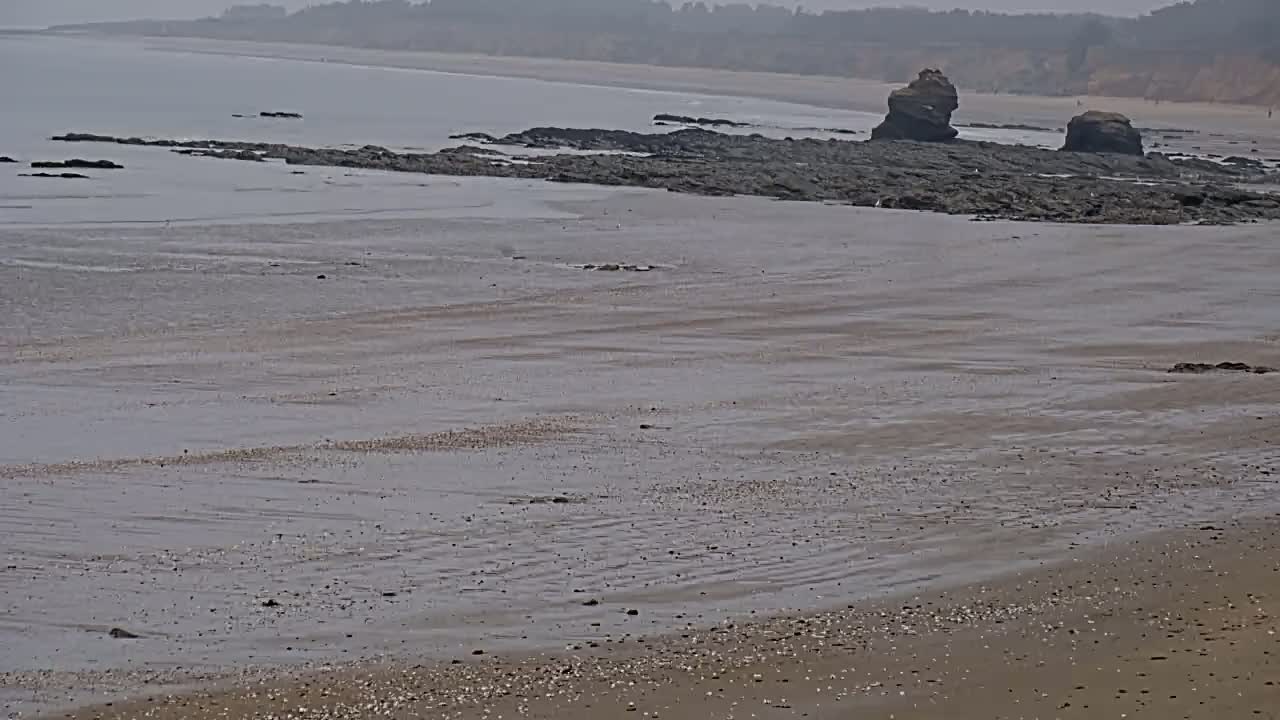 A wide sandy beach stretches toward a calm, grey ocean with dark rocks and a distant shoreline under an overcast sky.