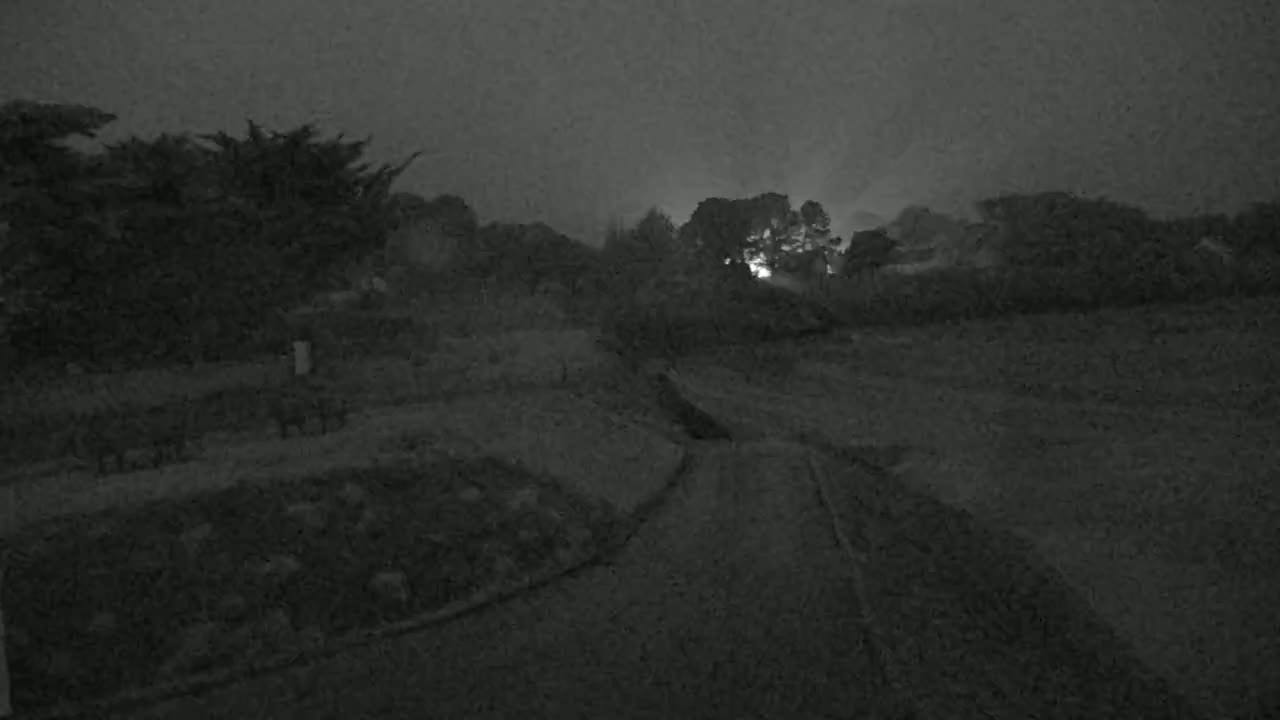 A dimly lit, nighttime scene shows a paved road winding through a landscape of dark trees and shrubs under a foggy sky.