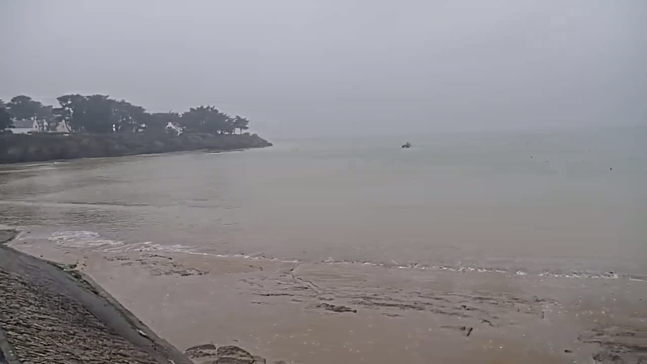 A foggy coastal scene shows calm, light-brown water lapping a muddy shore, with a line of trees and buildings visible on a distant headland.