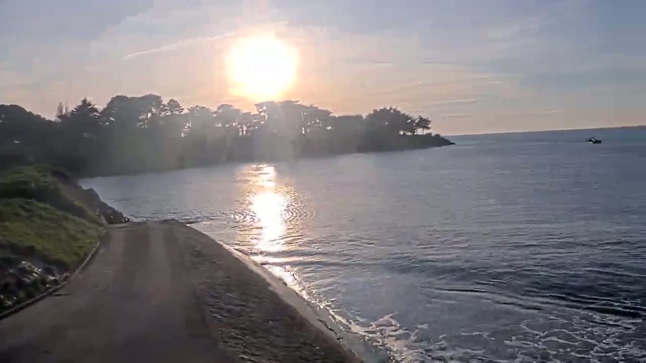 A paved road leads to a calm body of water under a bright, sunny sky, where a small boat is visible in the distance, with a shoreline of trees in the background.