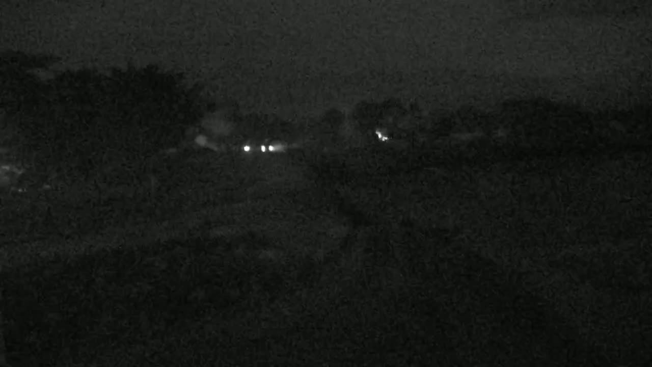 A dark, nighttime scene shows a few distant lights behind dark trees and vegetation.