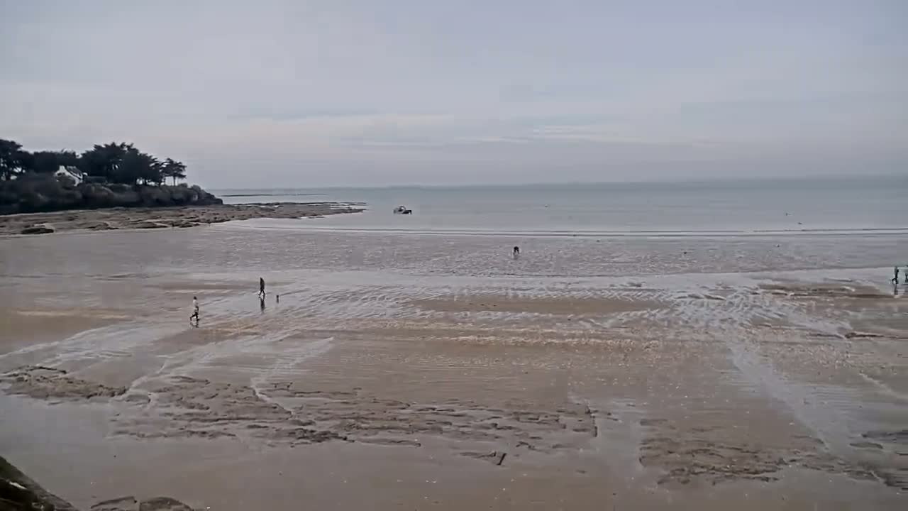 A wide expanse of wet sand with small figures walking on it, a calm sea, and a treeline in the background under an overcast sky.