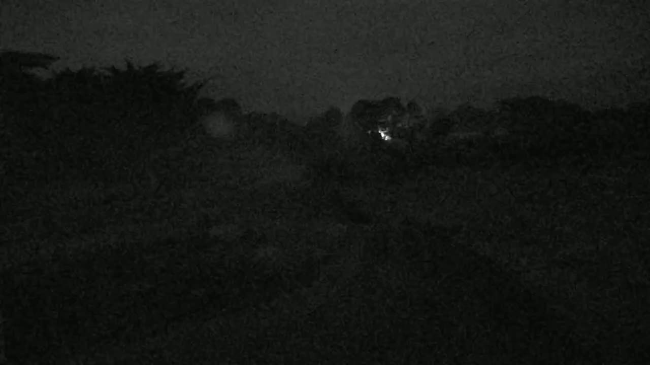 A dark, nighttime scene shows a dimly lit landscape of trees and bushes under a cloudy sky.
