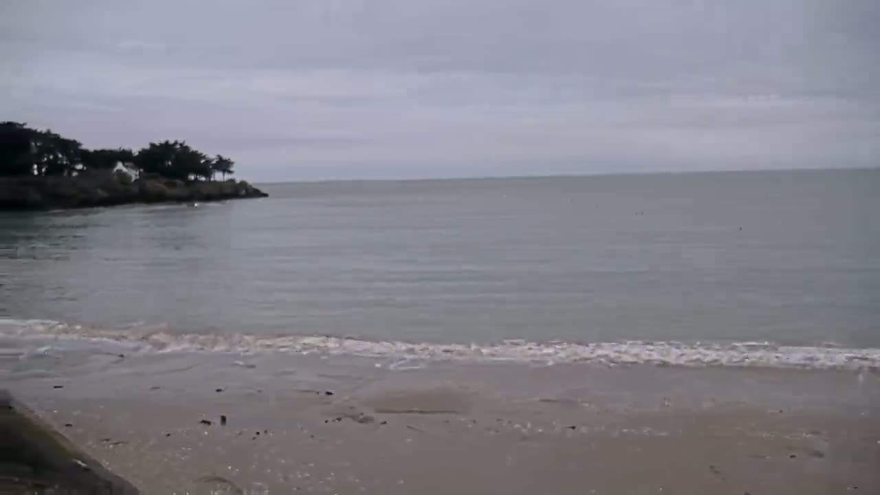 A calm, gray day at a sandy beach shows a small, tree-covered headland in the distance, with gentle waves lapping the shore.