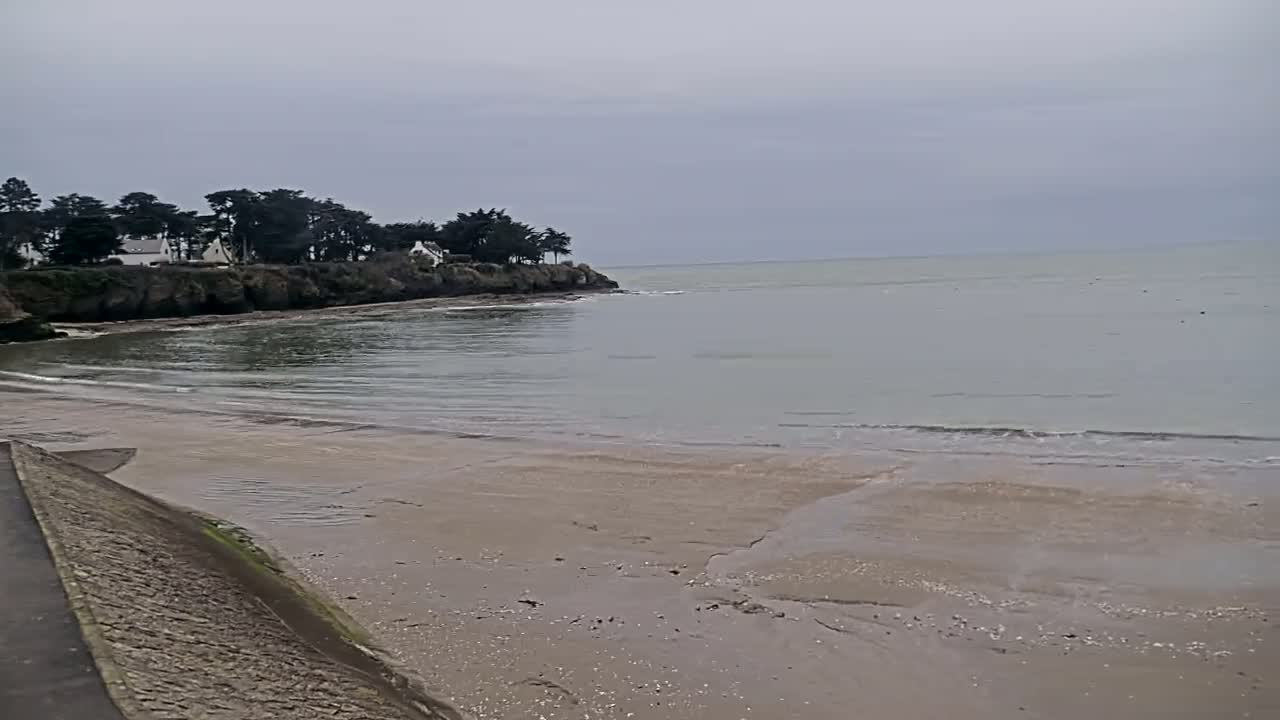 A sandy beach with calm, light-green water stretches out to the horizon under an overcast sky, with a line of trees and houses visible on a cliff to the left.