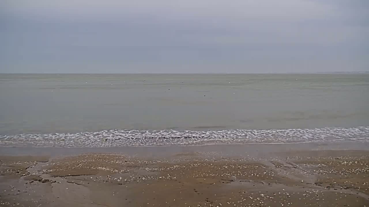 A sandy beach with small waves lapping the shore under a cloudy sky.