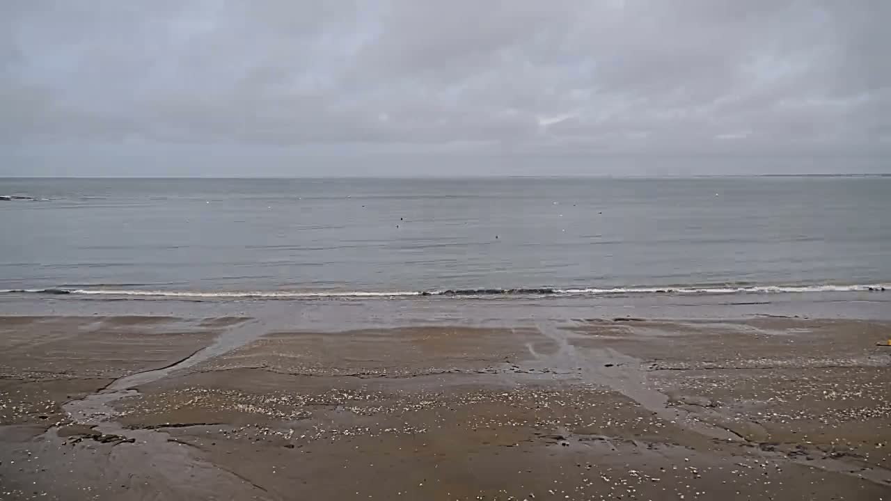 A calm, gray sea meets a sandy beach strewn with shells under an overcast sky.