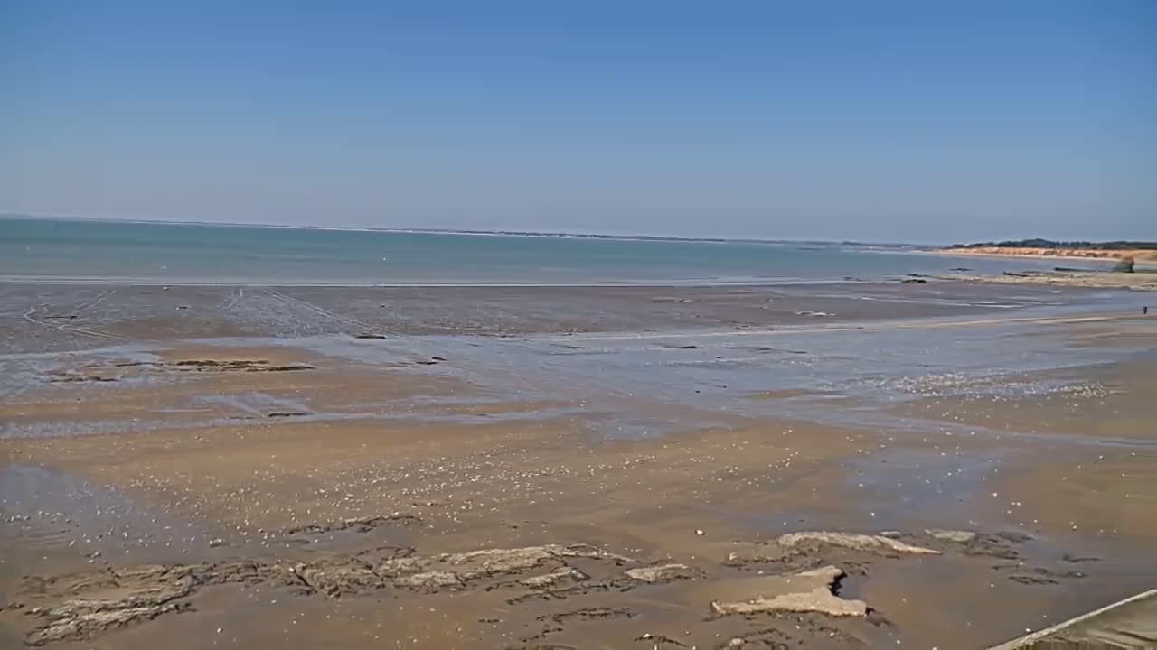 A wide expanse of muddy sand at low tide stretches towards a calm, light-blue sea under a clear blue sky.