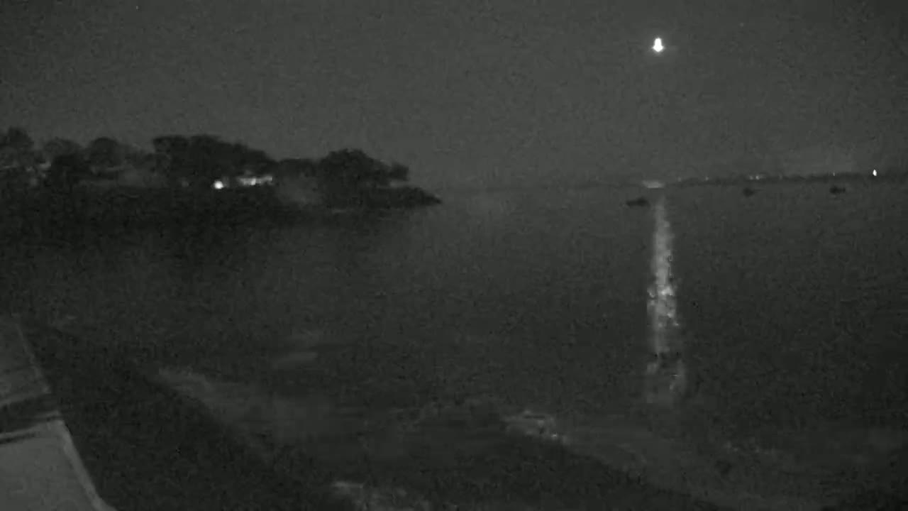A nighttime, low-light view of a dark body of water reflecting a bright light source, with a dark shoreline and trees in the background under a moonlit sky.