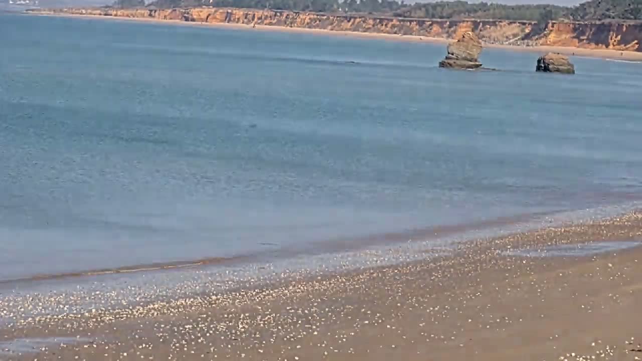 A sandy beach with small shells scattered across it slopes gently to a calm, light-blue ocean with two dark rock formations visible offshore.