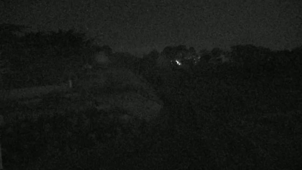 A nighttime, low-light view shows dark foliage and a few distant lights.