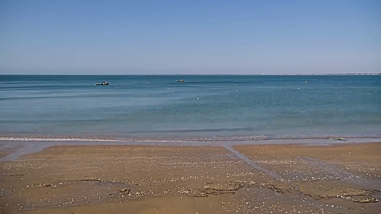 A sandy beach meets a calm, light-blue ocean under a clear blue sky.