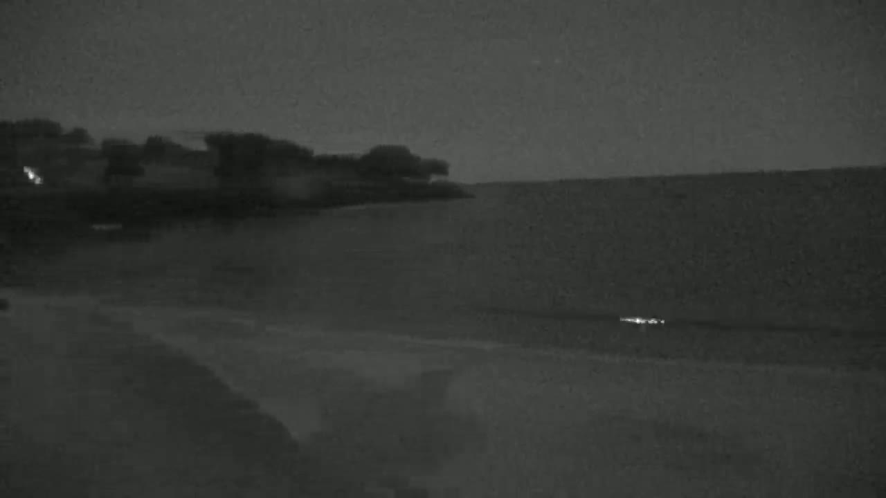 A dark, nighttime scene shows a shoreline with vegetation, a body of water, and a beach under a mostly clear, dark sky.