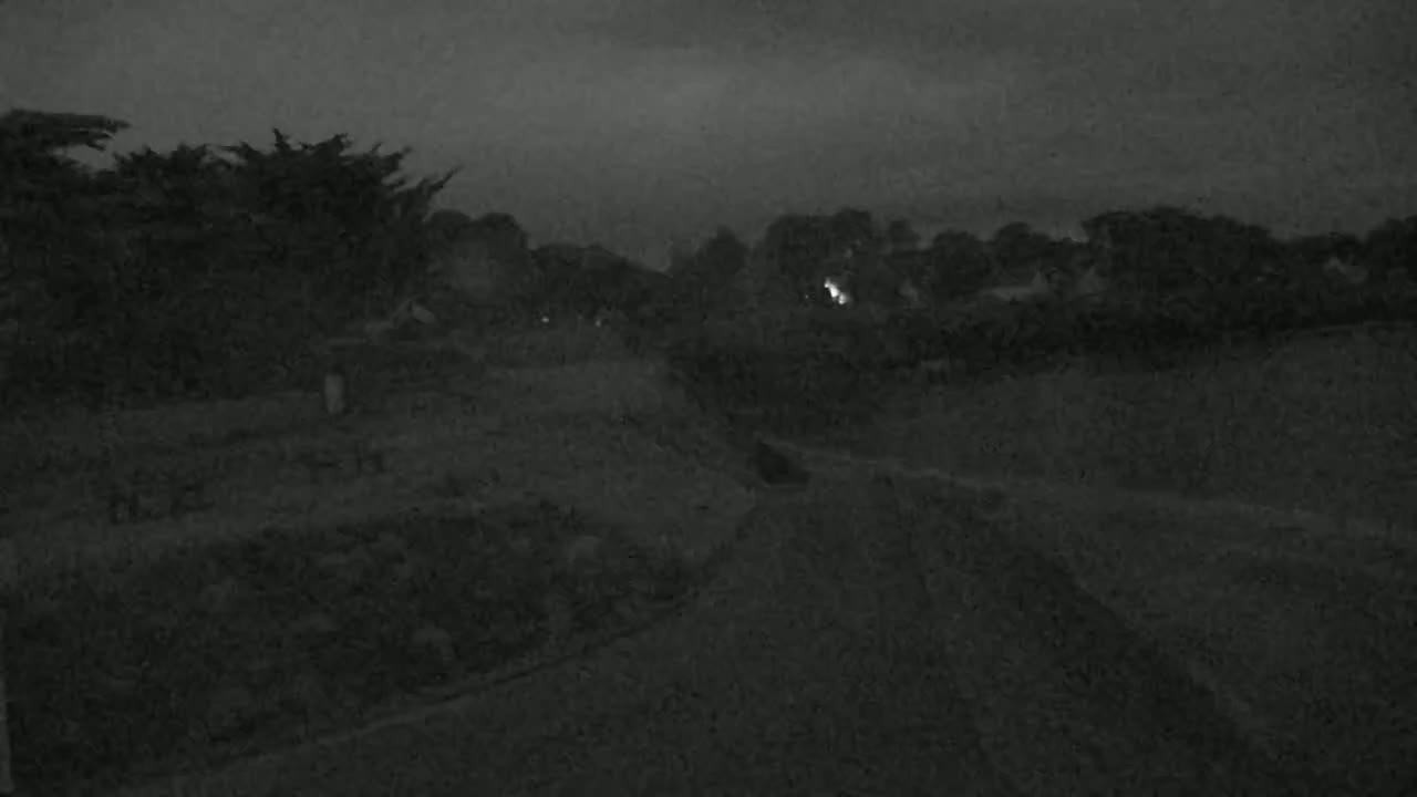 A dark, overcast night scene shows a road winding through a sparsely populated area with some vegetation.