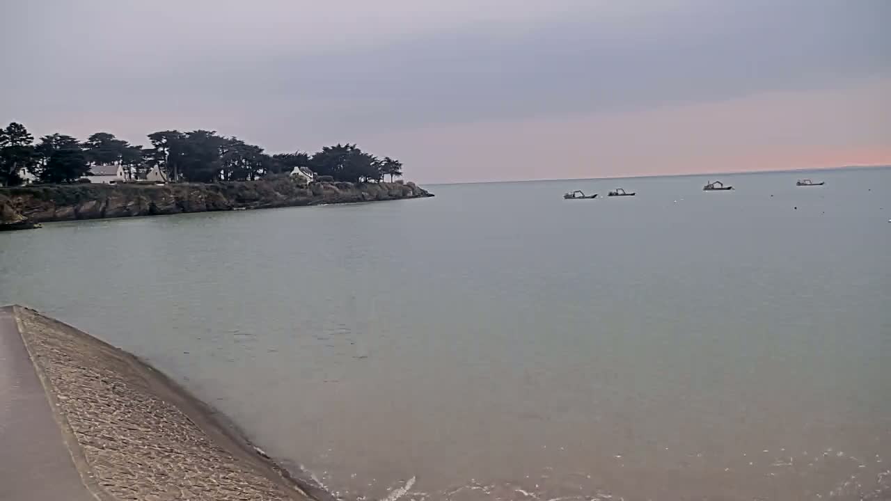 A calm, gray-toned body of water shows several small boats in the distance, with a line of trees and houses visible on a rocky headland to the left.