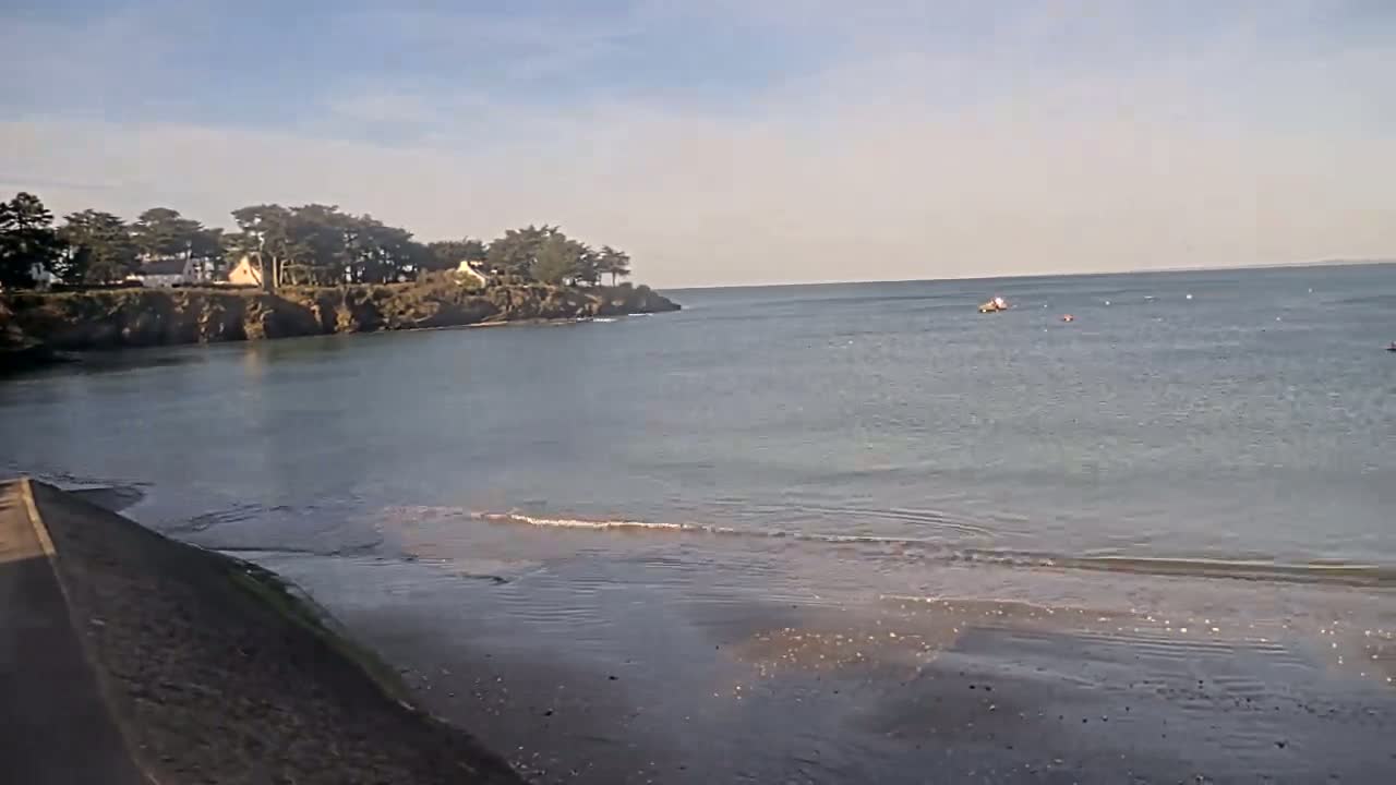 A calm, sunny day at a beach with a small cove, showing a sandy shore, gentle waves, and a line of trees on a cliff in the background.