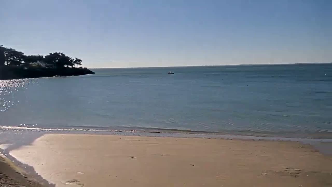 A sandy beach meets calm, blue water under a clear, sunny sky, with a small boat visible in the distance and trees lining the shore.