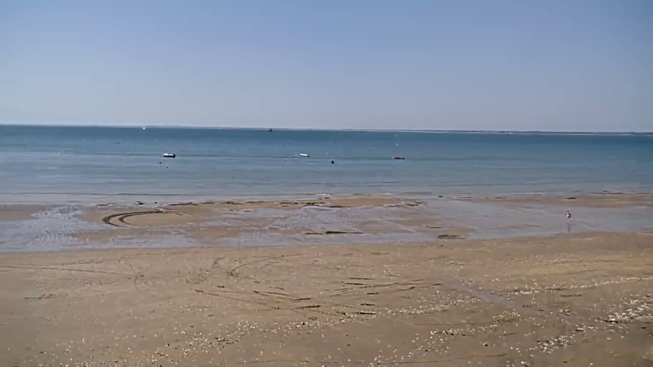 A sandy beach with tire tracks stretches towards a calm, blue ocean under a clear sky.