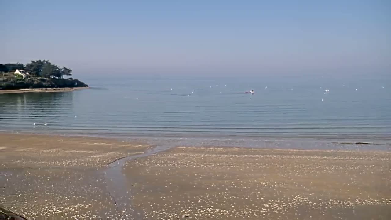A sandy beach stretches to a calm, clear body of water under a bright, sunny sky, with a small, tree-covered point of land visible in the distance.