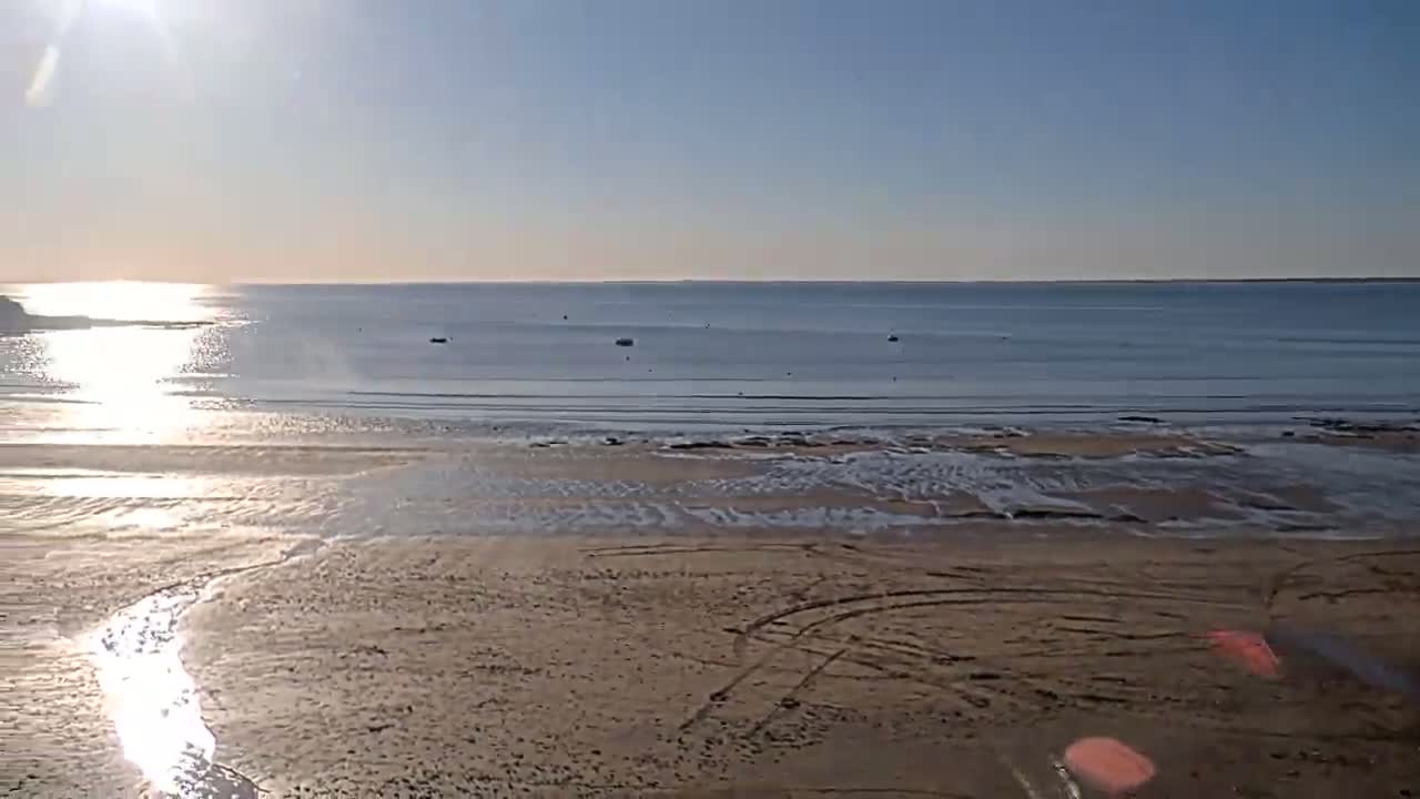 A sandy beach stretches out to a calm sea under a bright, sunny sky.
