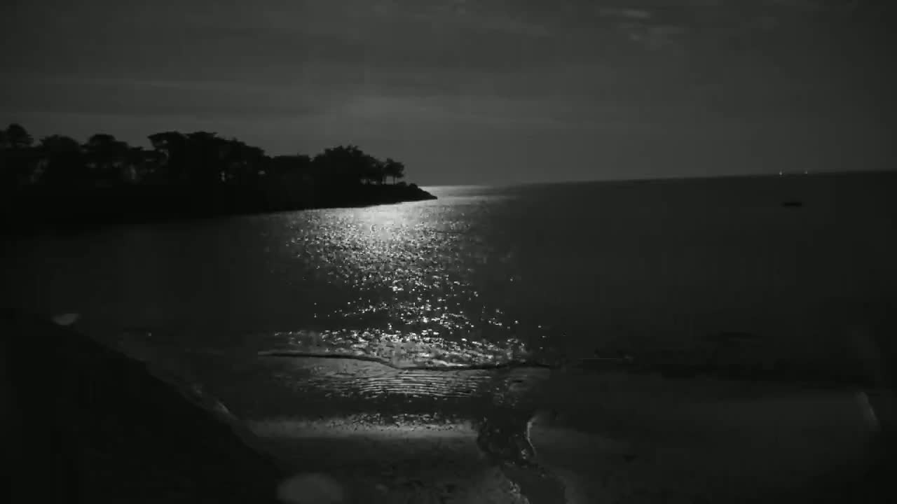 A moonlit night scene shows a dark shoreline with trees silhouetted against a calm, glistening sea.