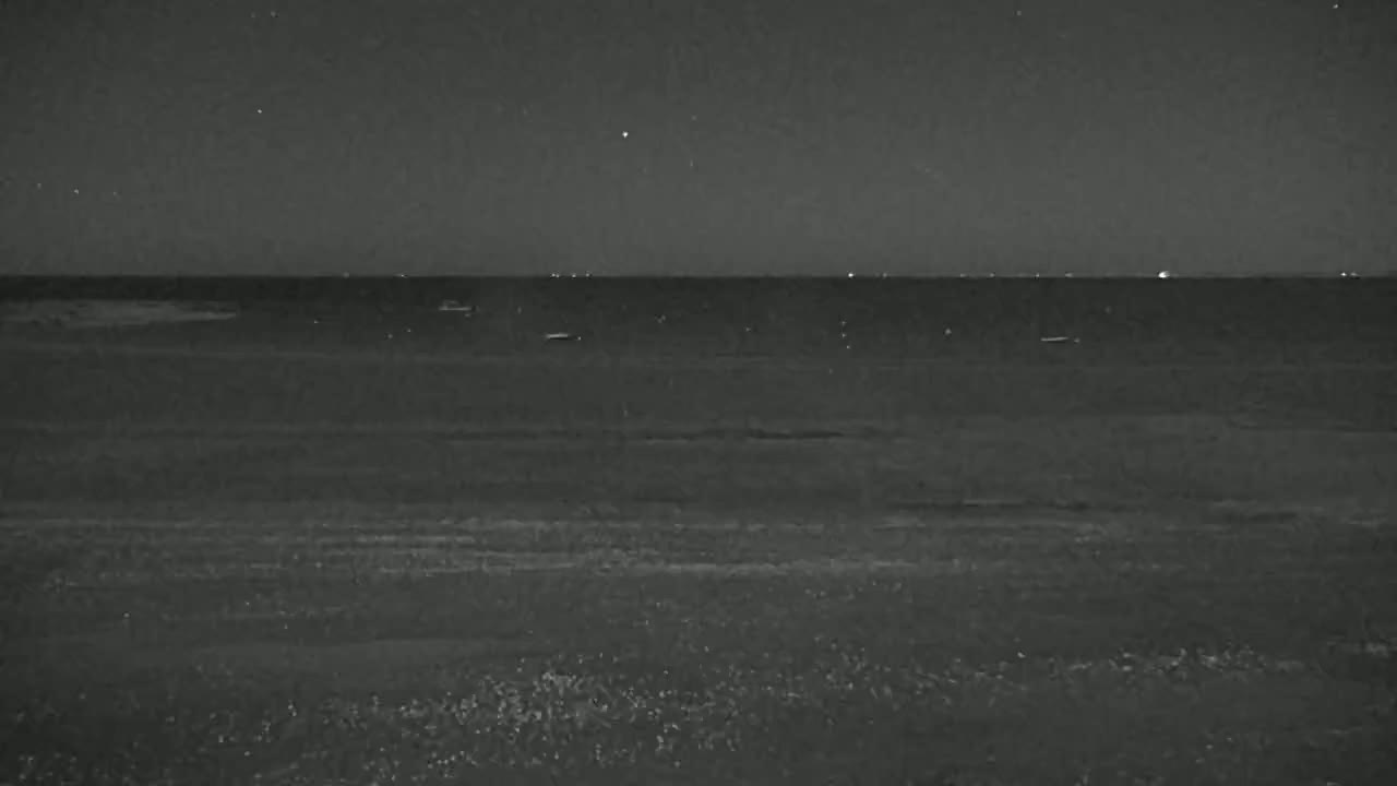 Under a clear, dark night sky, a calm sea meets a sandy shore.