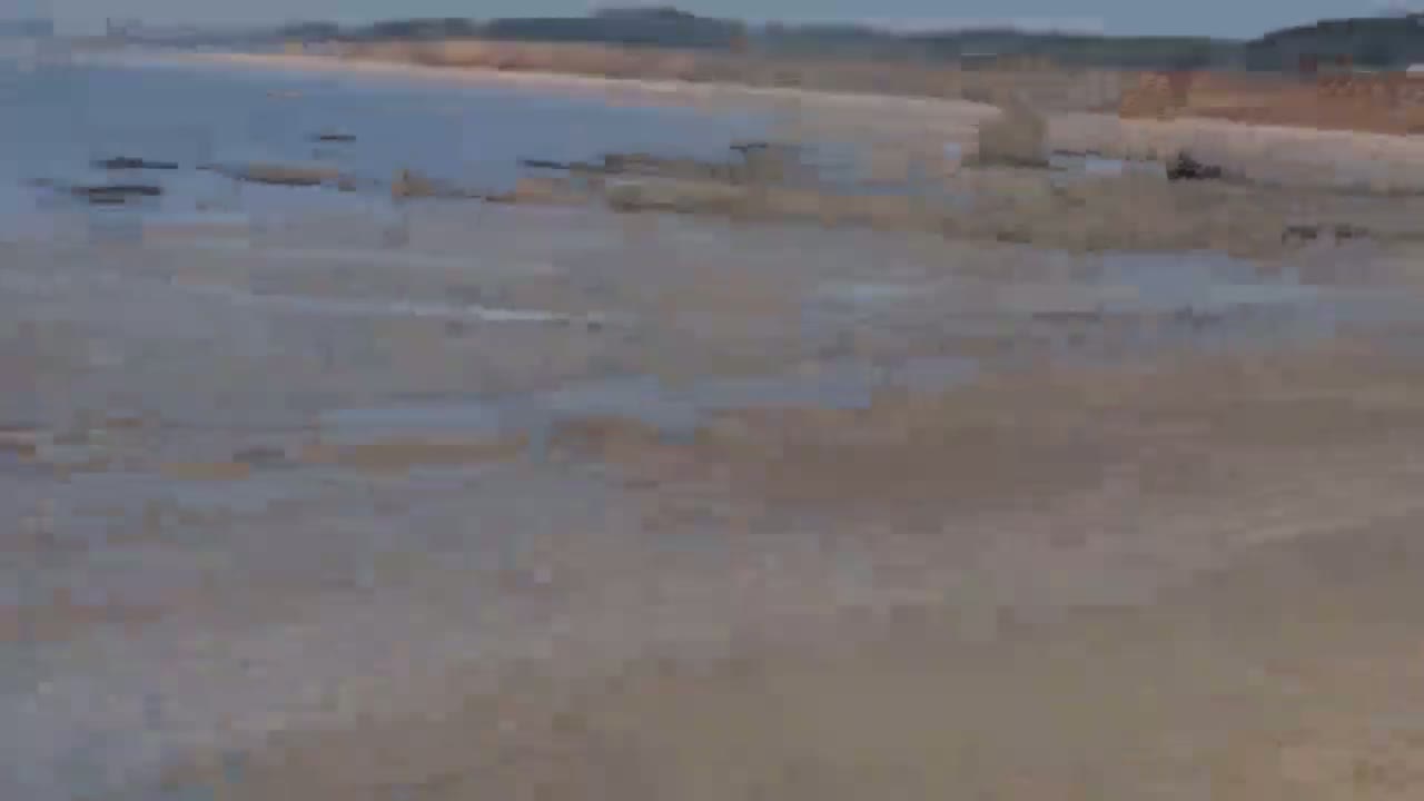 A wide shot shows a flat, sandy beach with calm, shallow water and dark rocks visible near the shore under an overcast sky.